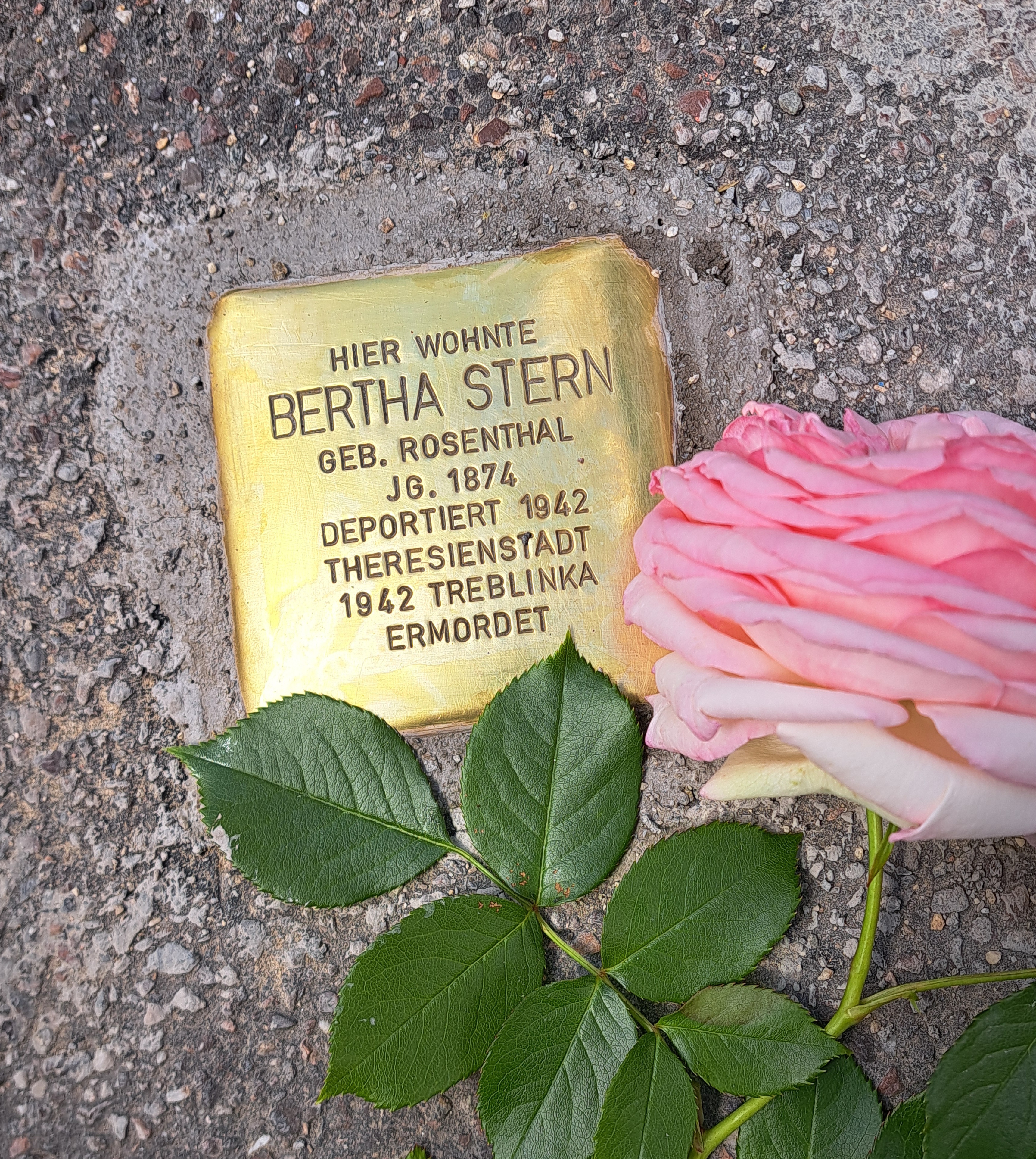 Stolpersteine 2025 1